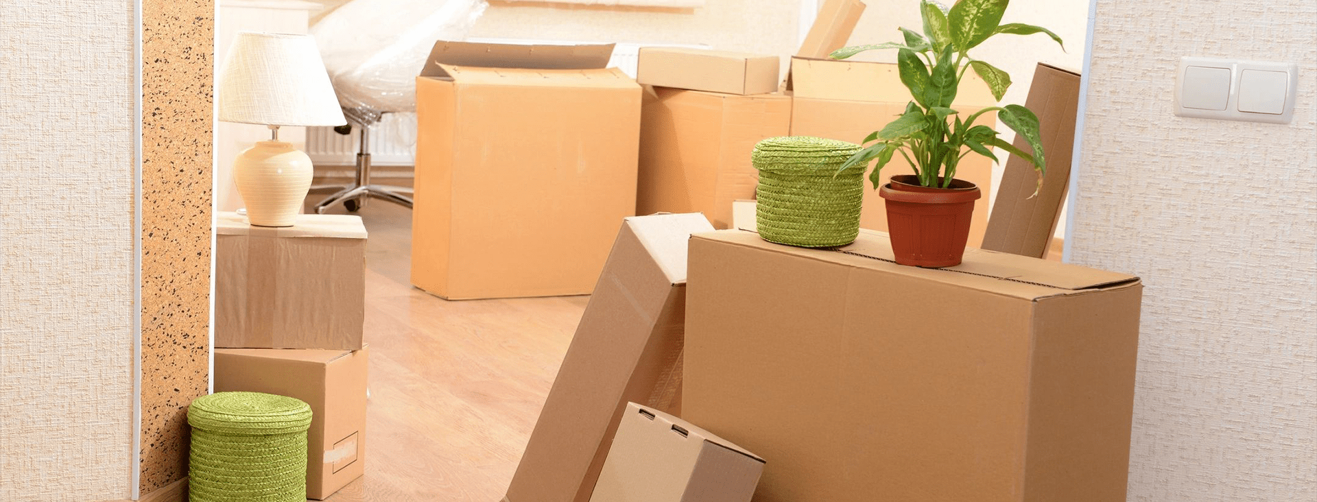 A room with boxes and plants in it